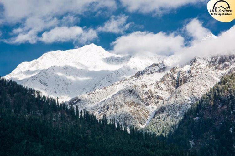 Hill Creste Manali Manāli Eksteriør billede